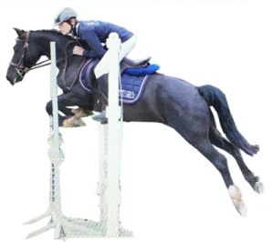 13396535_1743852335861941_2081657817_o