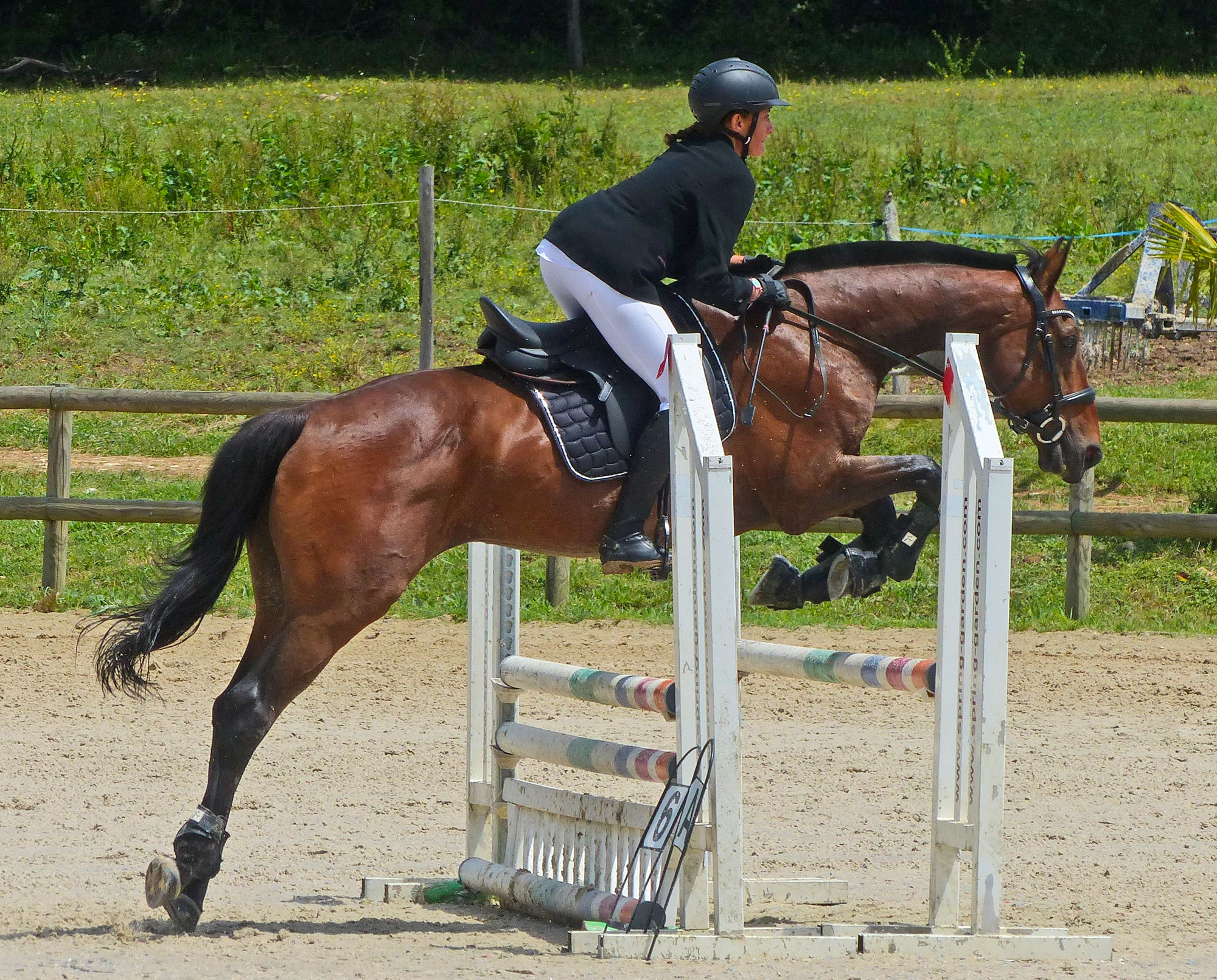 Frédérique et Qalirob