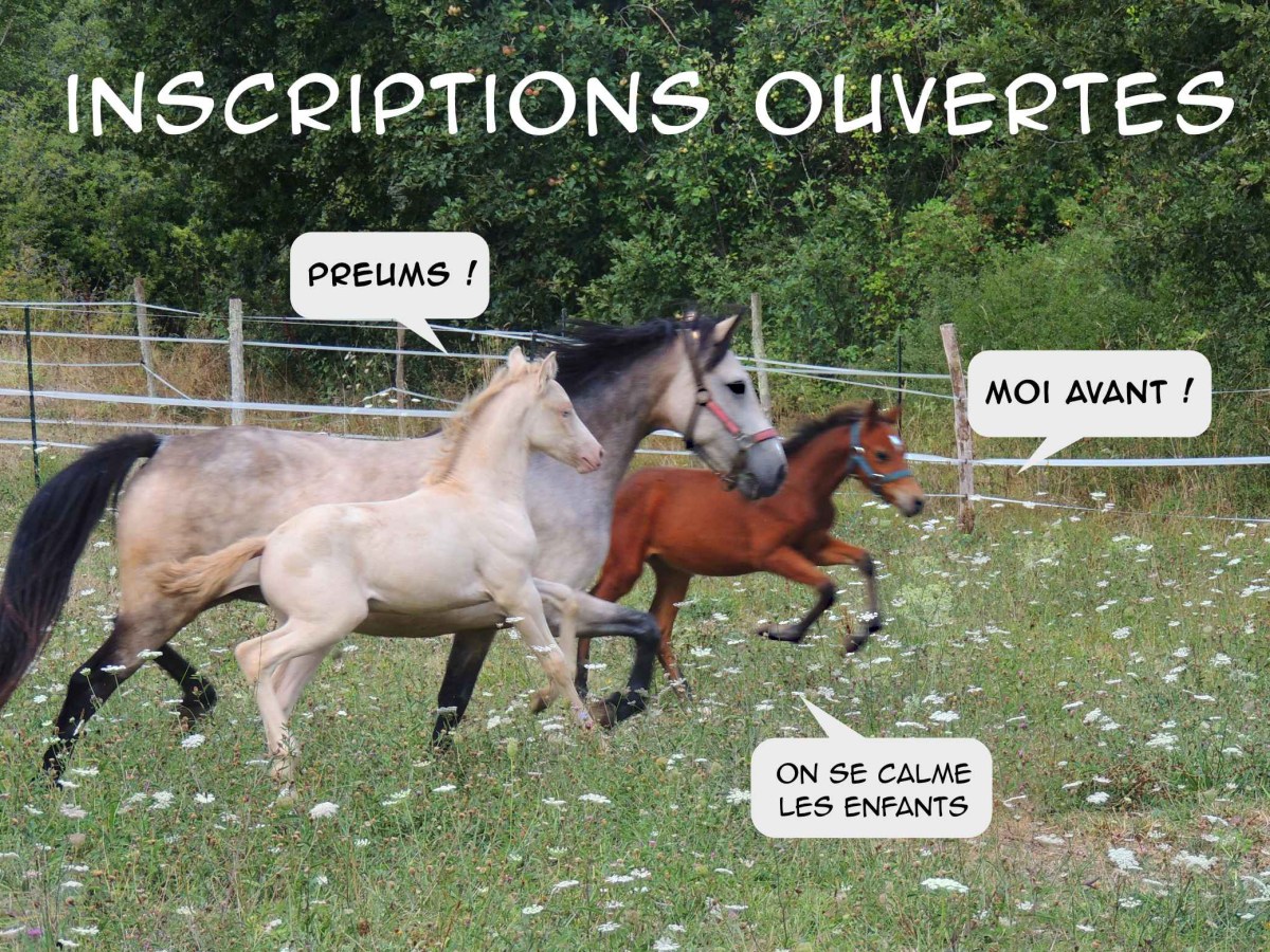 Rentrée 2026